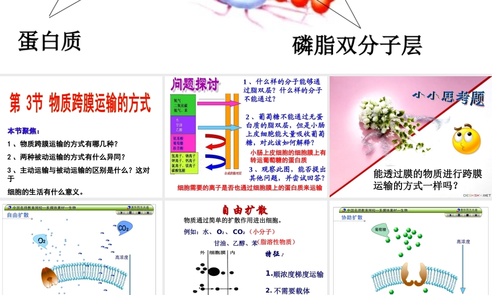 物质跨膜运输方式