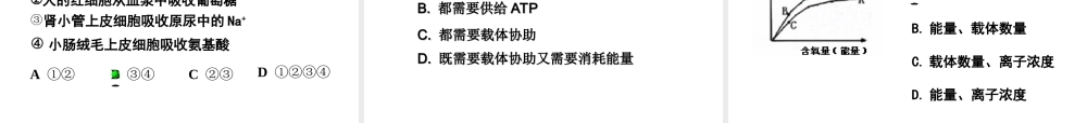 物质跨膜运输方式