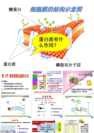 物质跨膜运输方式
