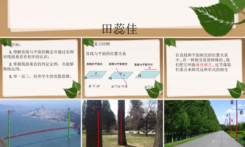 2.3.1直线与平面垂直的判定