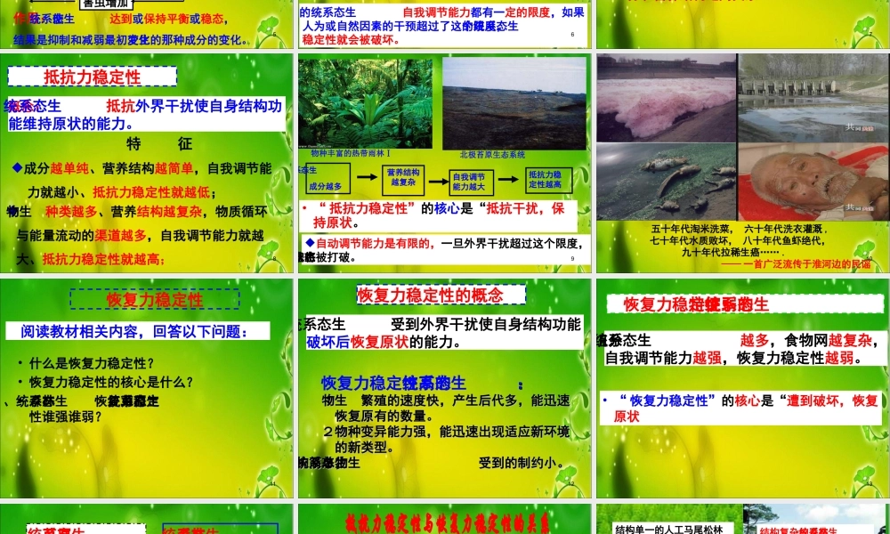生态系统的稳定性.ppt