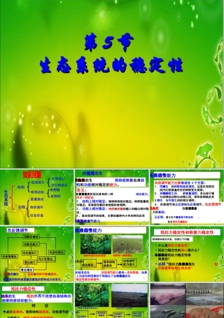 生态系统的稳定性.ppt