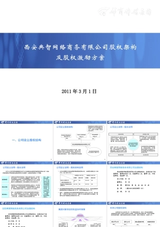 公司股权架构和股权激励方案