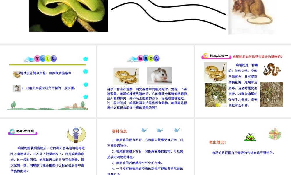 生物学研究的基本方法