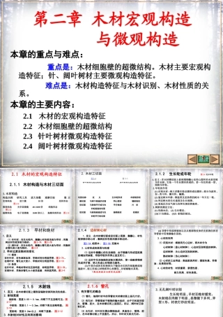 木材宏观构造与微观构