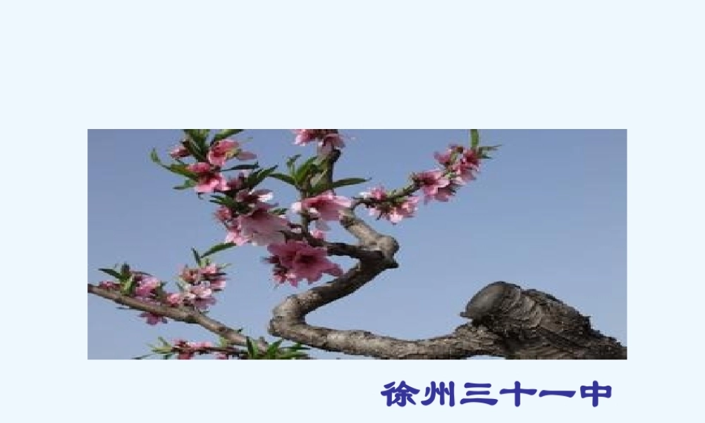 (部编)初中语文人教2011课标版七年级下册一棵小桃树-(16)