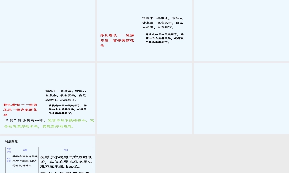 (部编)初中语文人教2011课标版七年级下册一棵小桃树-(16)