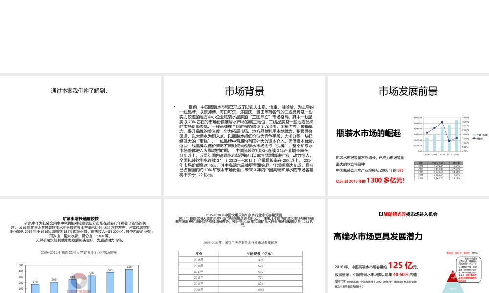矿泉水项目商业计划书