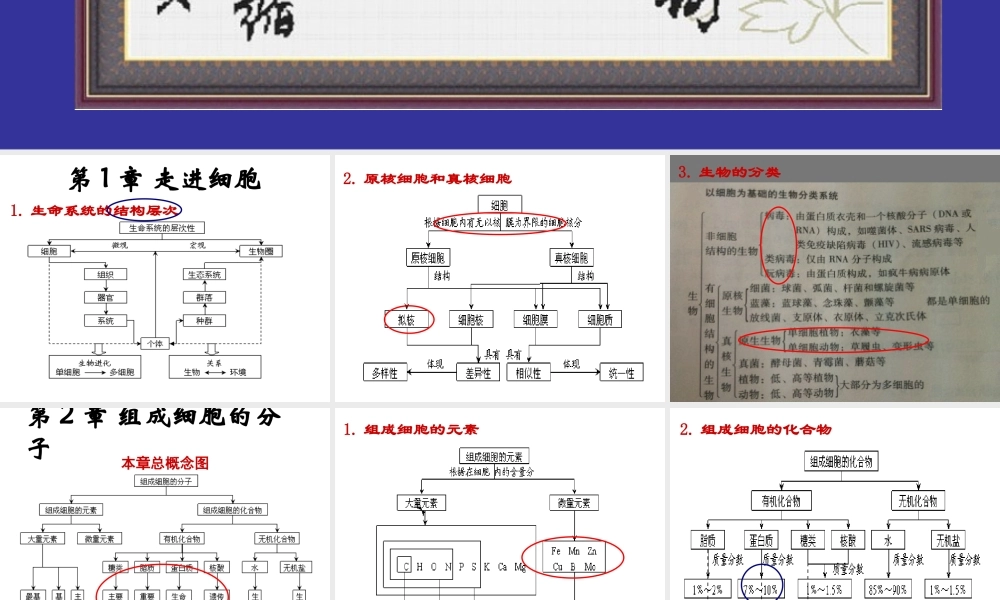 生物必修一 概念图