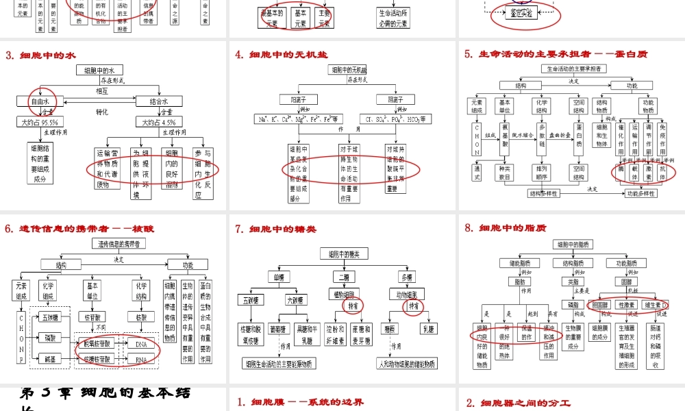 生物必修一 概念图
