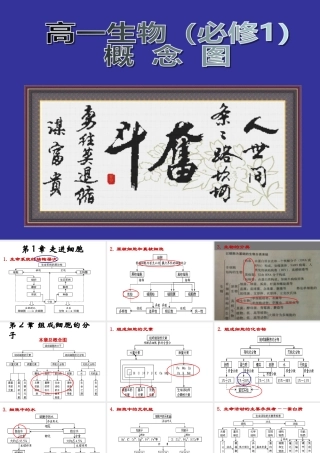 生物必修一 概念图