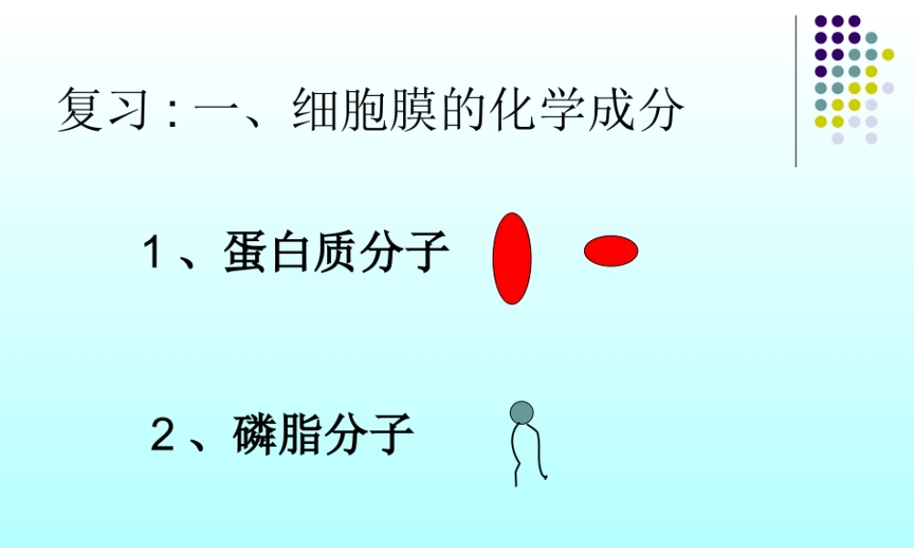 物质跨膜运输的方式公开课课件