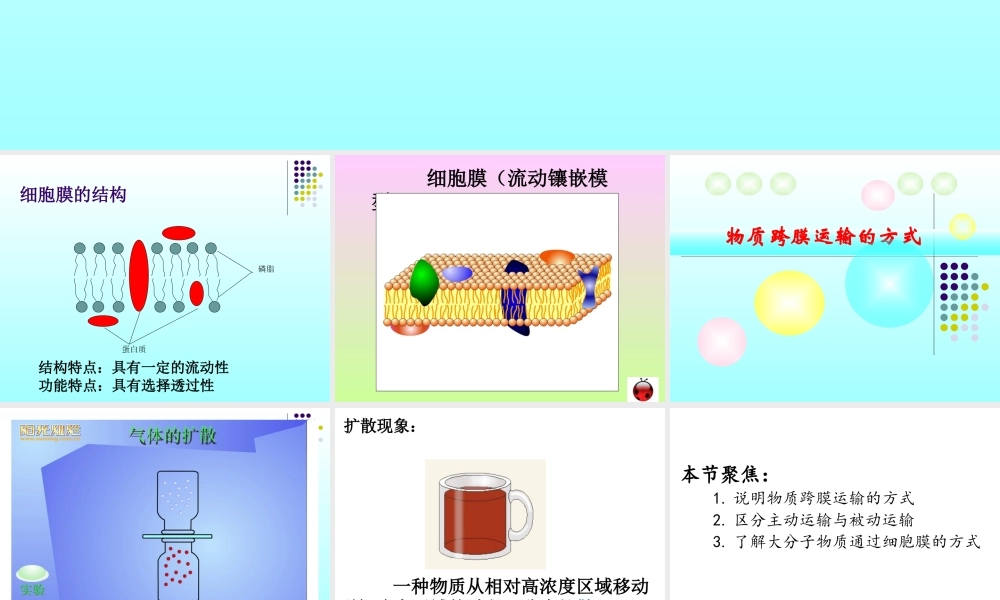 物质跨膜运输的方式公开课课件