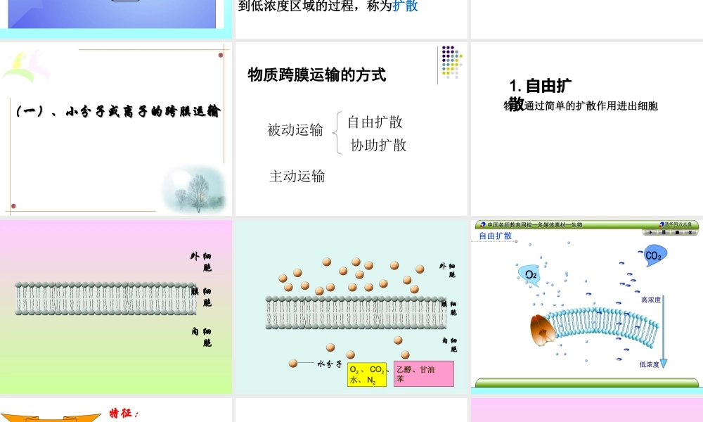 物质跨膜运输的方式公开课课件