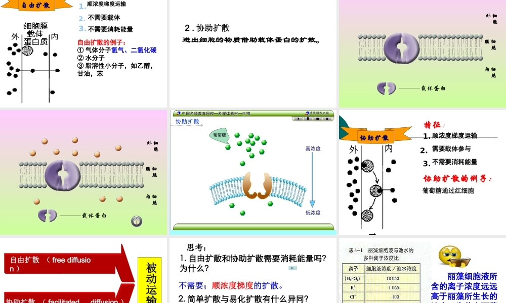 物质跨膜运输的方式公开课课件