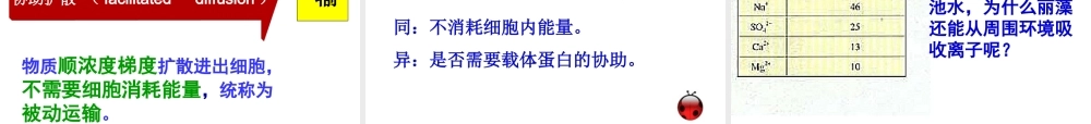 物质跨膜运输的方式公开课课件