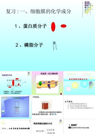 物质跨膜运输的方式公开课课件