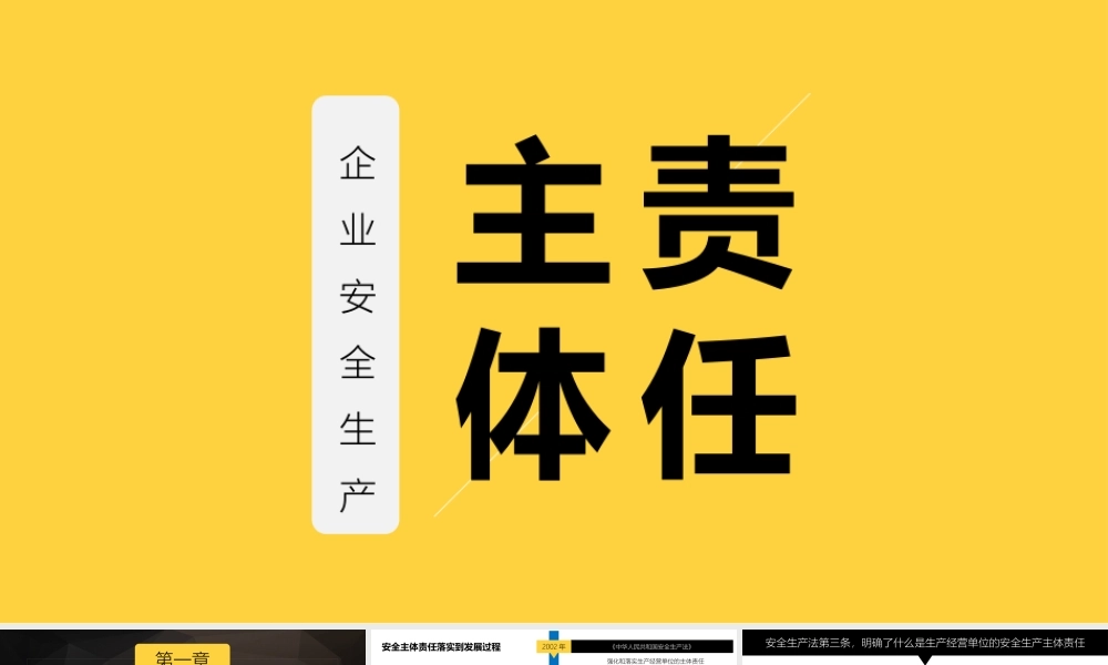 企业安全生产主体责任