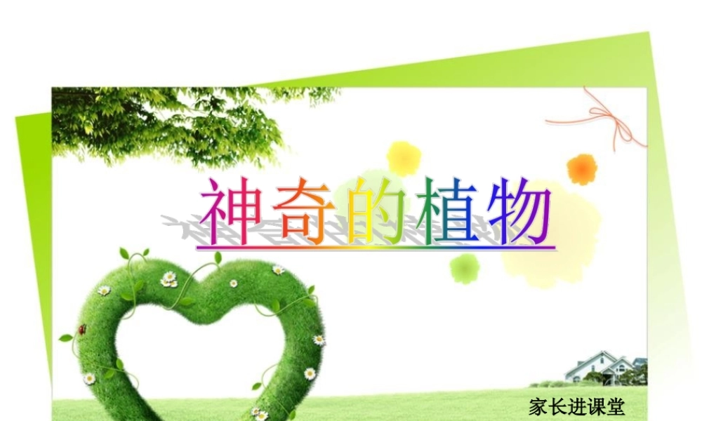家长进课堂-神奇的植物