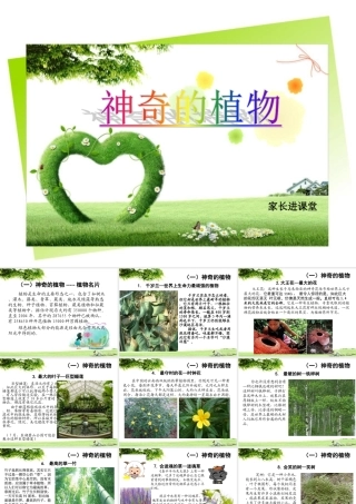 家长进课堂-神奇的植物
