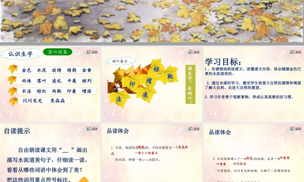 考核课《铺满金色巴掌的水泥道》(第二课时)