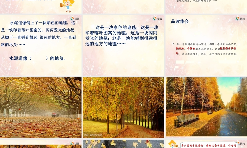 考核课《铺满金色巴掌的水泥道》(第二课时)