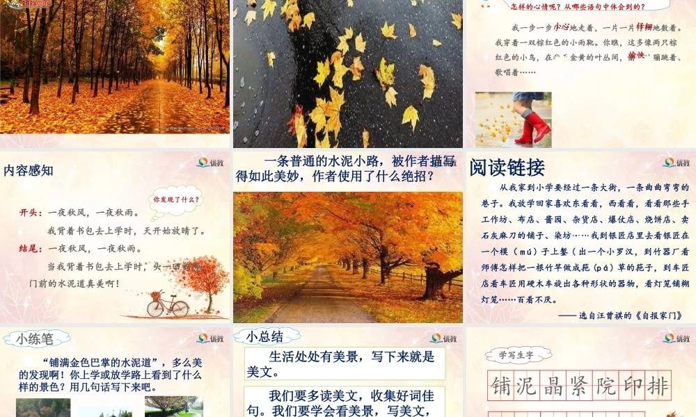 考核课《铺满金色巴掌的水泥道》(第二课时)