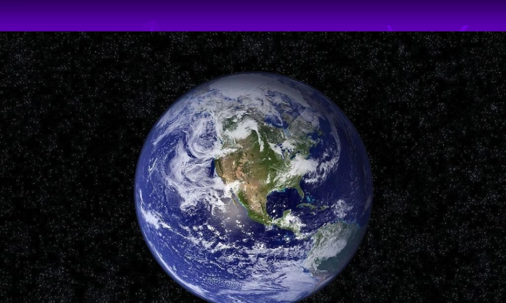 有创意的鱼剪纸