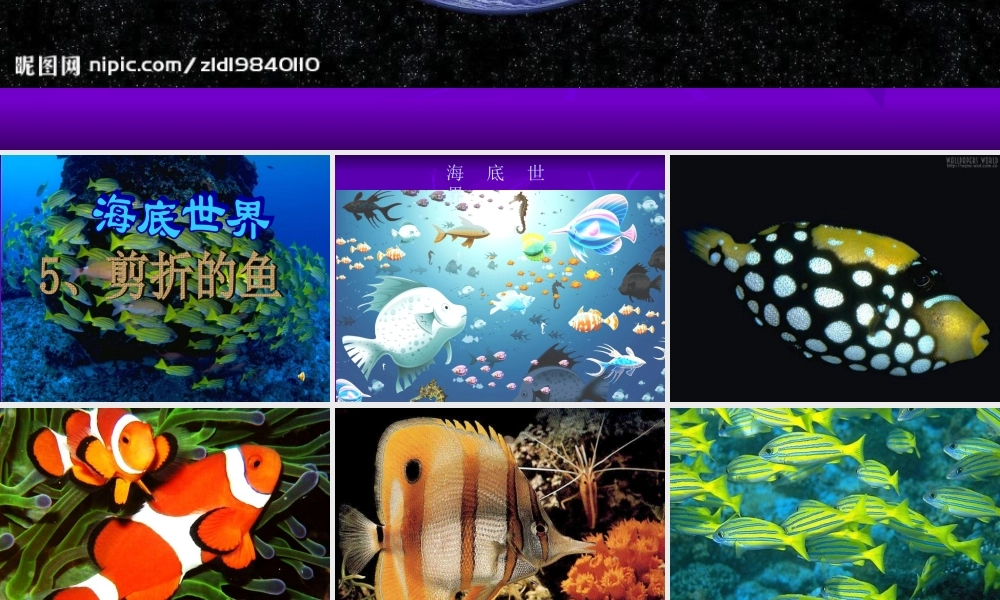 有创意的鱼剪纸