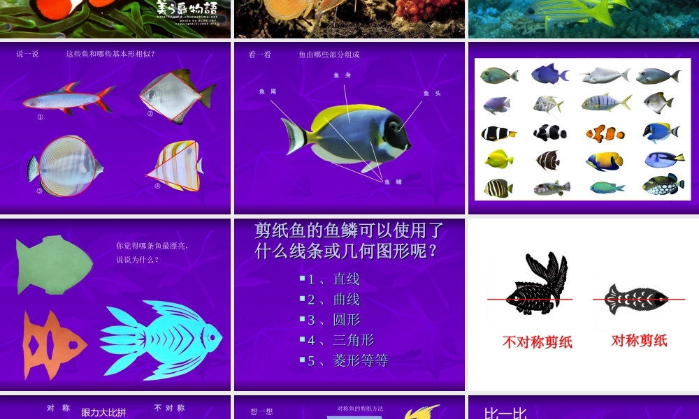 有创意的鱼剪纸