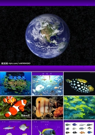 有创意的鱼剪纸