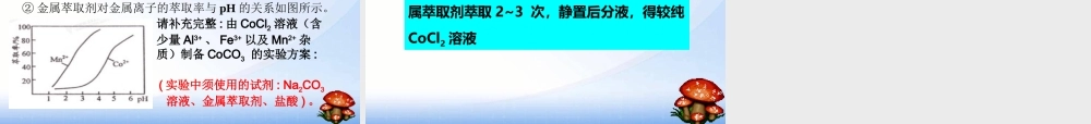 硫酸亚铁铵的制备-(2)