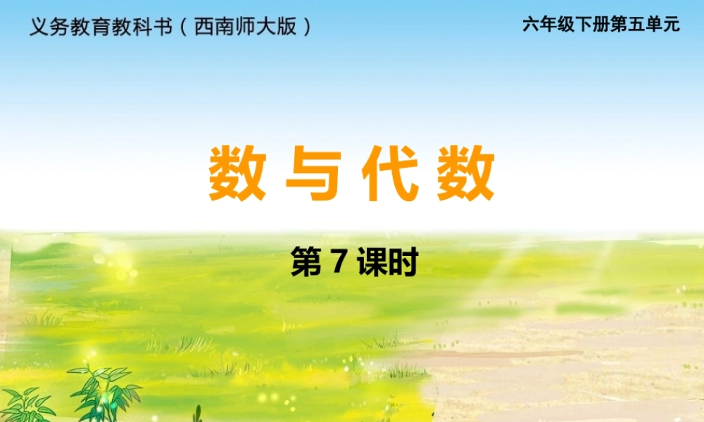 等式与方程43-(2)