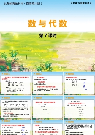 等式与方程43-(2)