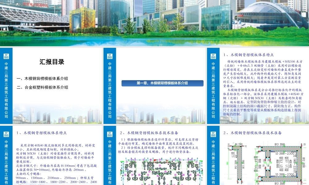 塑料模板和钢背楞(姜新)