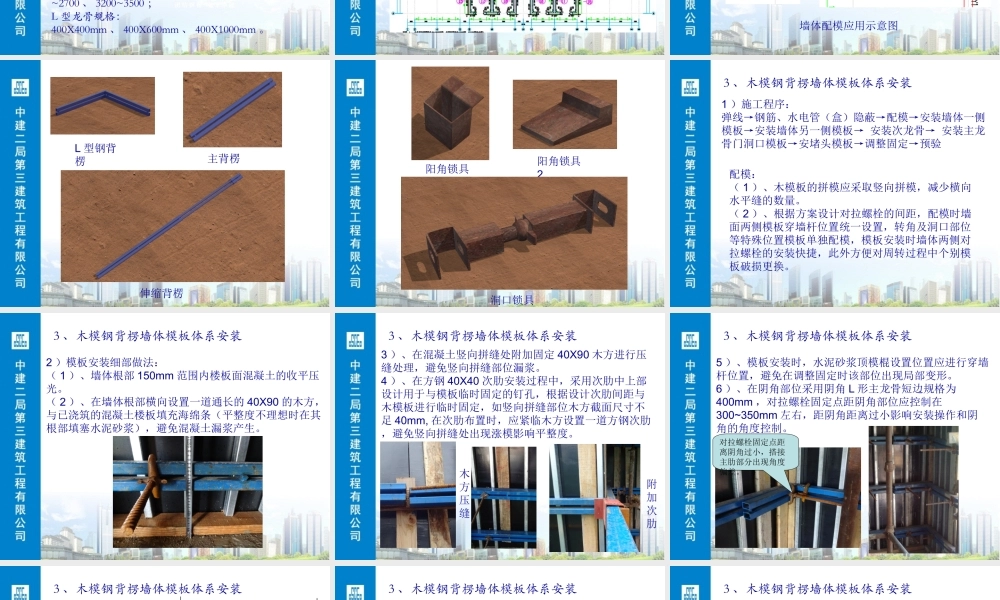 塑料模板和钢背楞(姜新)