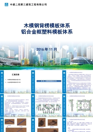 塑料模板和钢背楞(姜新)