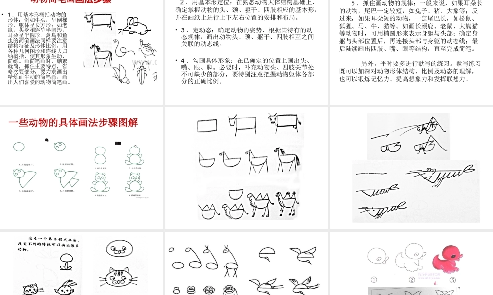 动物简笔画课件