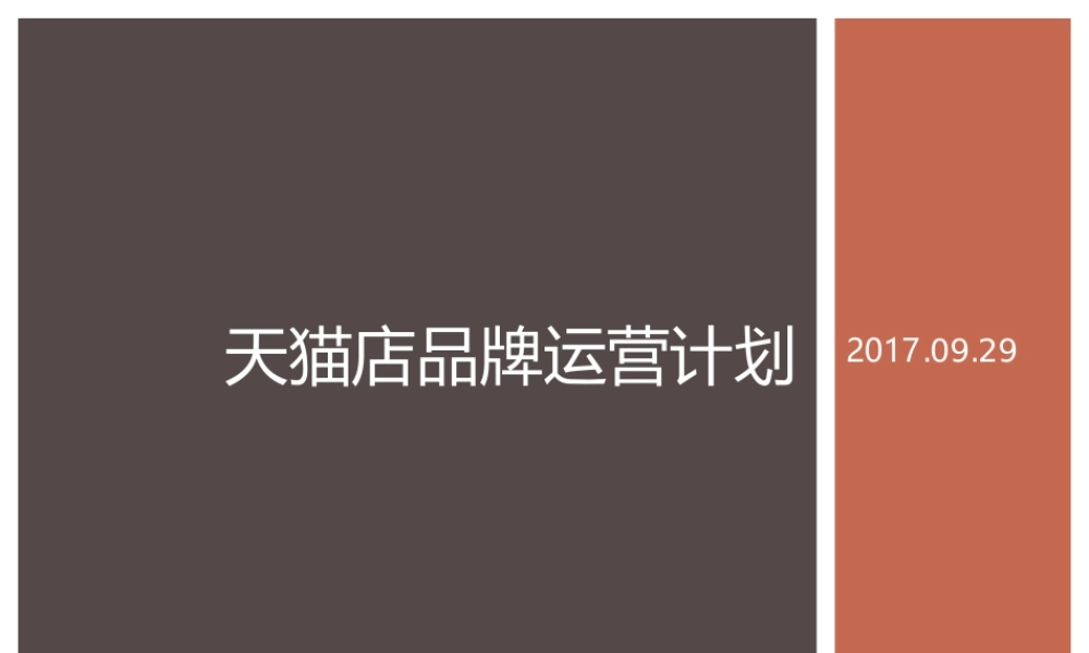 天猫品牌运营计划