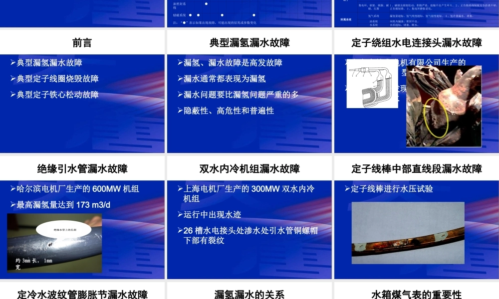 发电机典型故障分析与处理