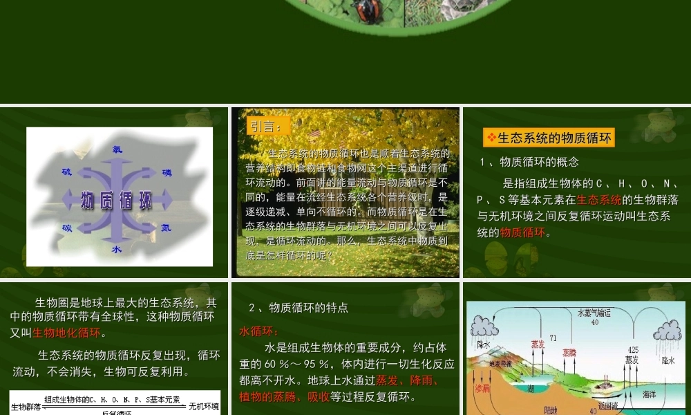 生态系统的物质循环