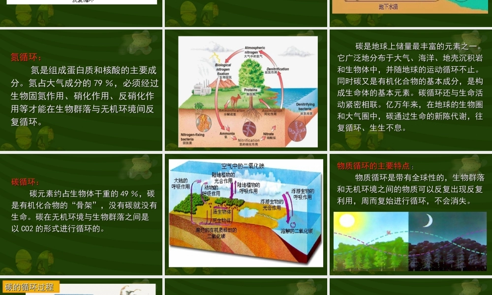 生态系统的物质循环