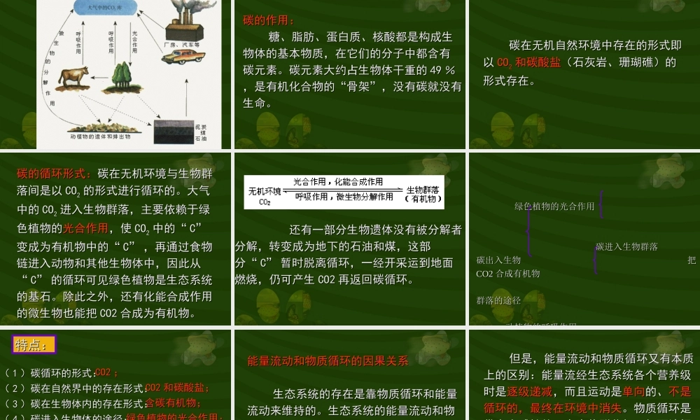 生态系统的物质循环