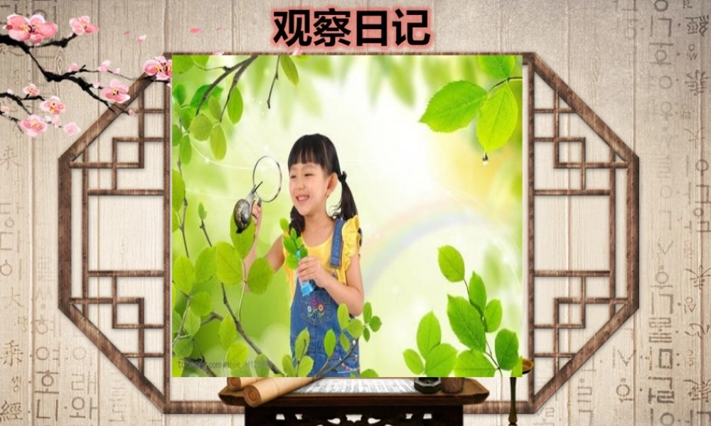 四年级观察日记