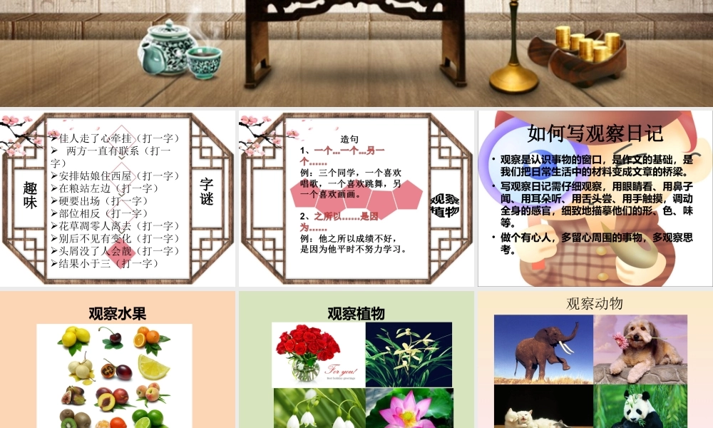 四年级观察日记