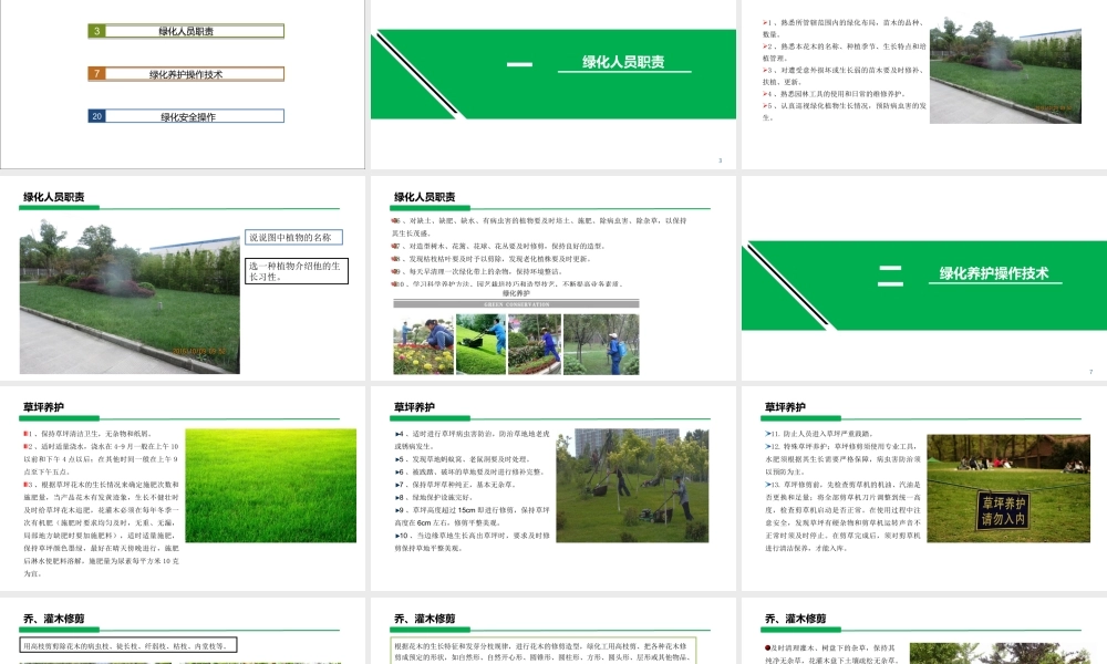 绿化培训课件