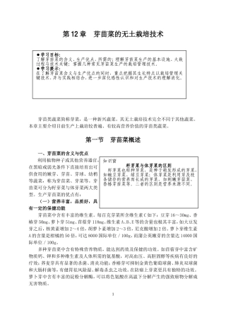 芽苗菜的无土栽培技术