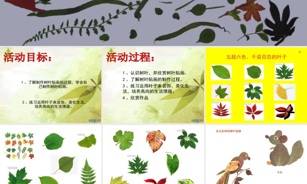 幼儿园中班“树叶粘贴画课件” 制作课件