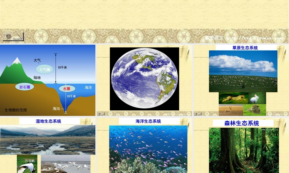 《生物圈是最大的生态系统》(自制)