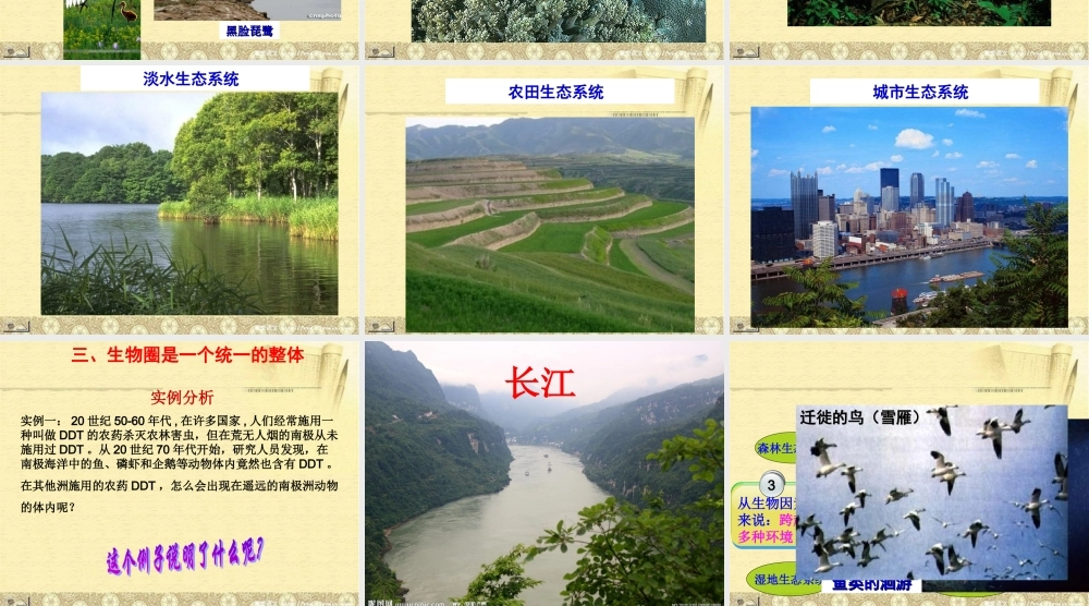 《生物圈是最大的生态系统》(自制)